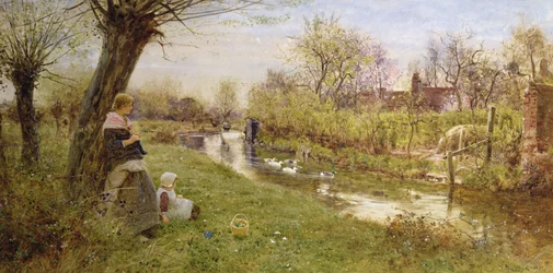 Enten beobachten, 1890